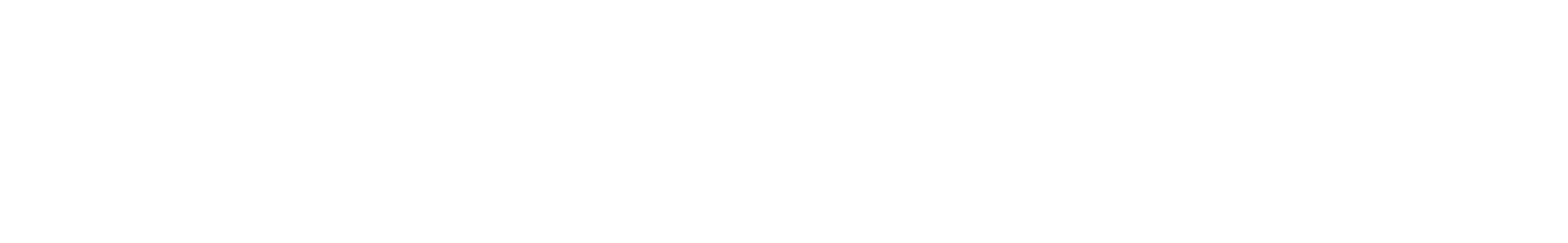 Connect Manager Logo